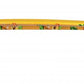 D Street Pintail Oasis Multi 36 IN Cruiser