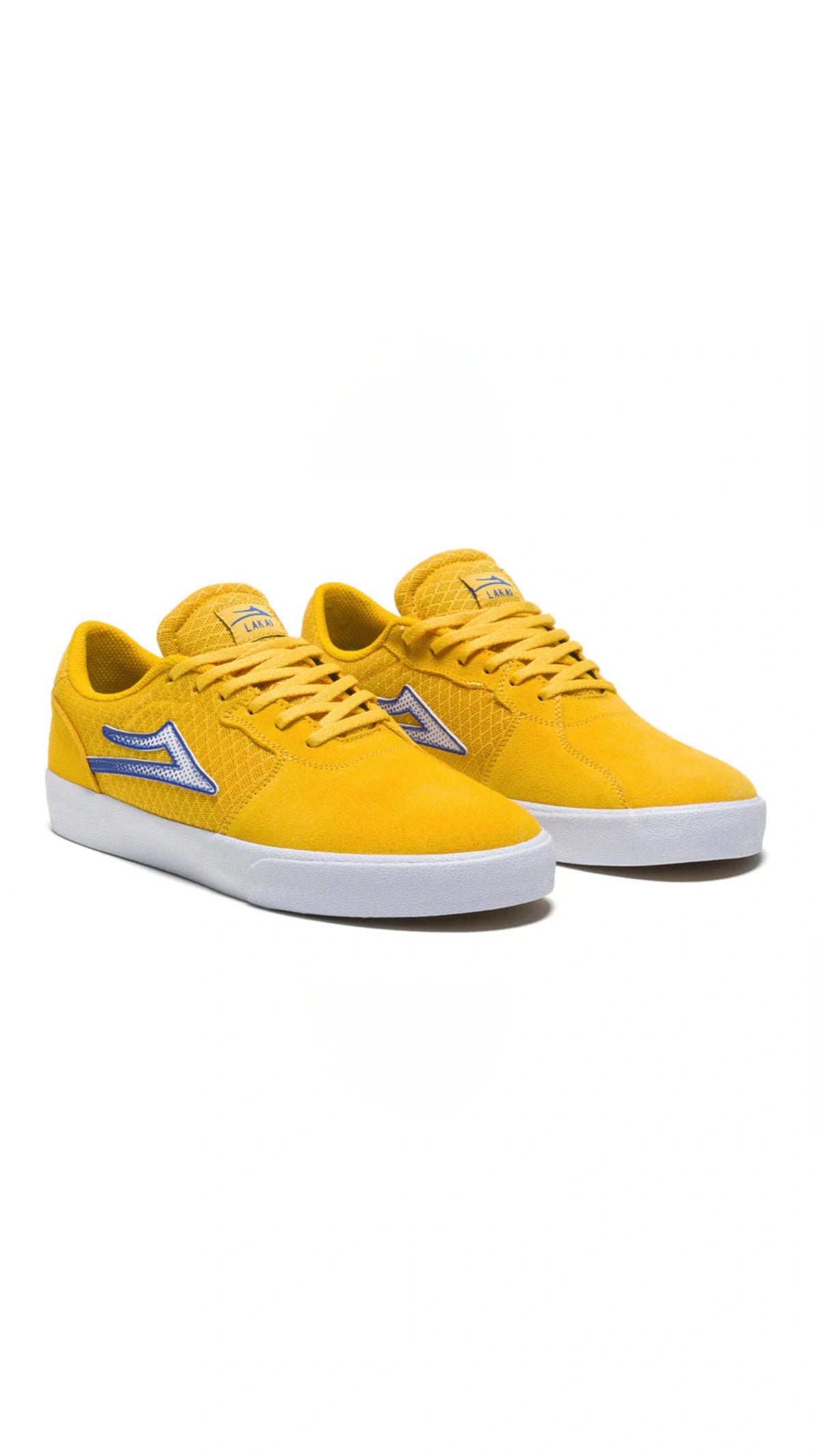 Chaussures de skate Lakai Cardiff - Or/Bleu
